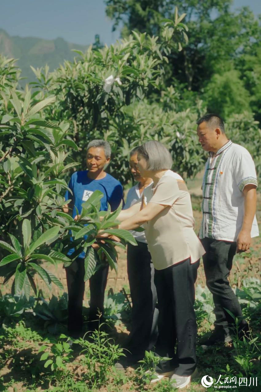 綿陽市農(nóng)科院研究員任茂瓊（前排左一）在果園里，手把手給農(nóng)戶演示如何修枝。人民網(wǎng)記者 張若涵攝