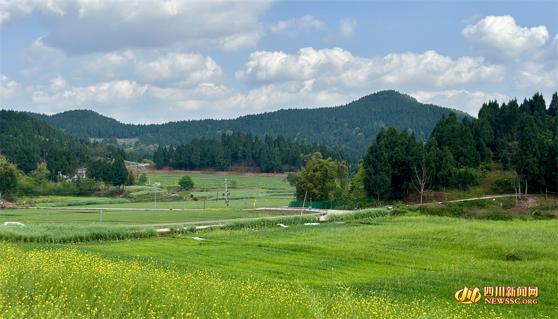 船山區(qū)春日美景.jpg